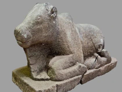 BÒ THẦN NANDIN TẠI THUNG LŨNG MỸ SƠN