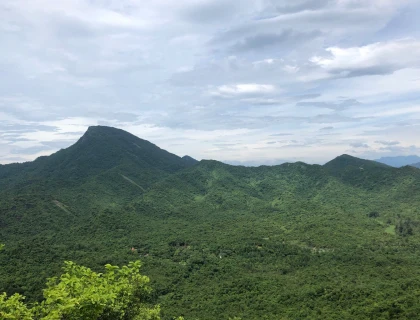 Khu bảo vệ cảnh quan di tích lịch sử văn hóa Mỹ Sơn - Những giá trị và tiềm năng