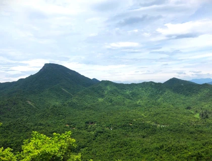 THẢ CÁ THỂ TRĂN VÀ RÙA QUÝ HIẾM VỀ MÔI TRƯỜNG TỰ NHIÊN TẠI RỪNG MỸ SƠN