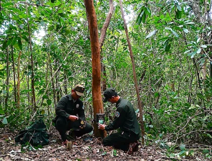 ỨNG DỤNG CÔNG NGHỆ BẪY ẢNH TRONG VIỆC GIÁM SÁT, NGHIÊN CỨU ĐA DẠNG SINH HỌC TẠI KHU BẢO VỆ CẢNH QUAN MỸ SƠN